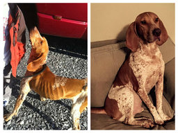 rsz__before_and_after_copy.jpg