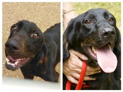 rsz_jasper_before_and_after.jpg