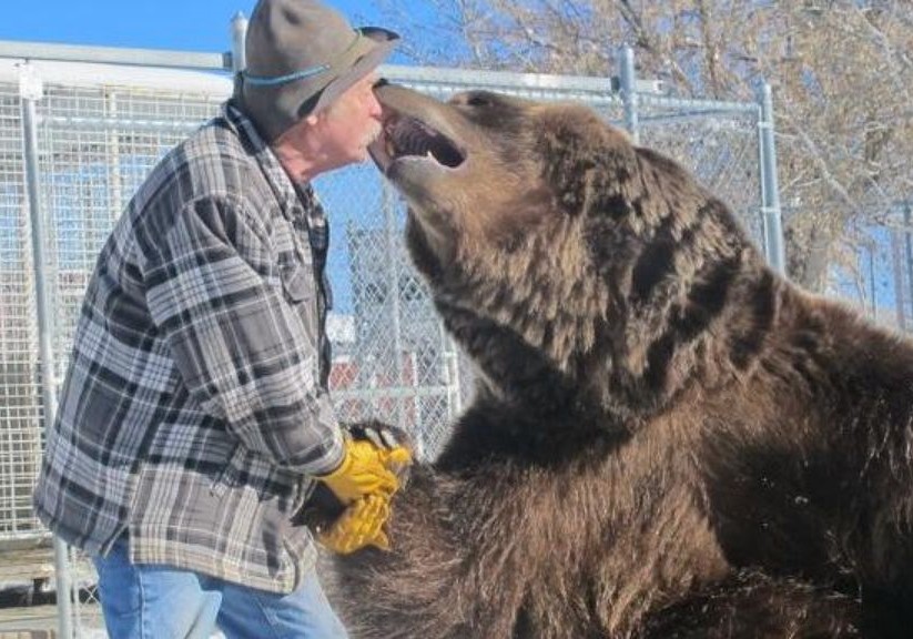 BarttheBear.jpg