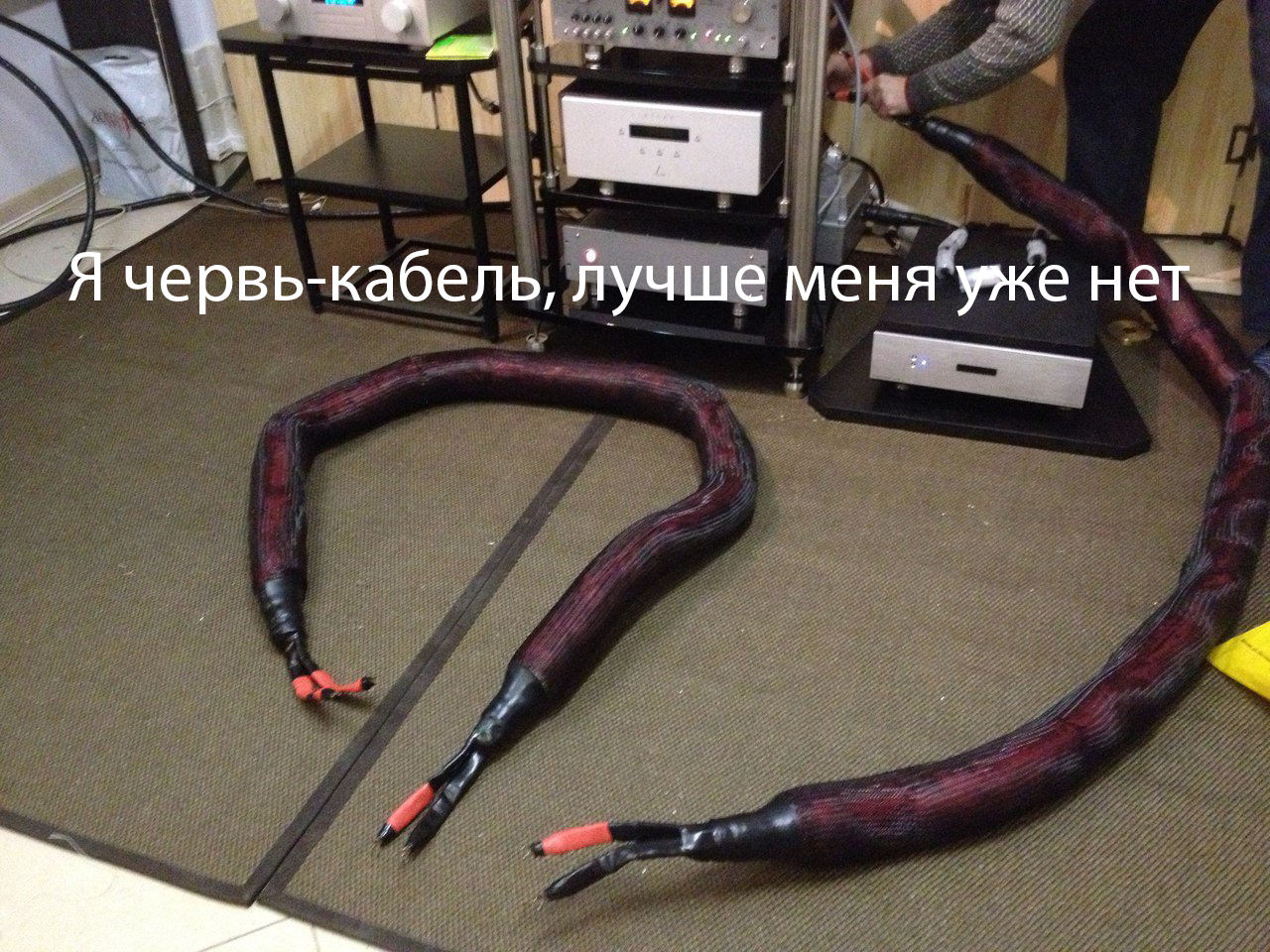 14845927765841.png