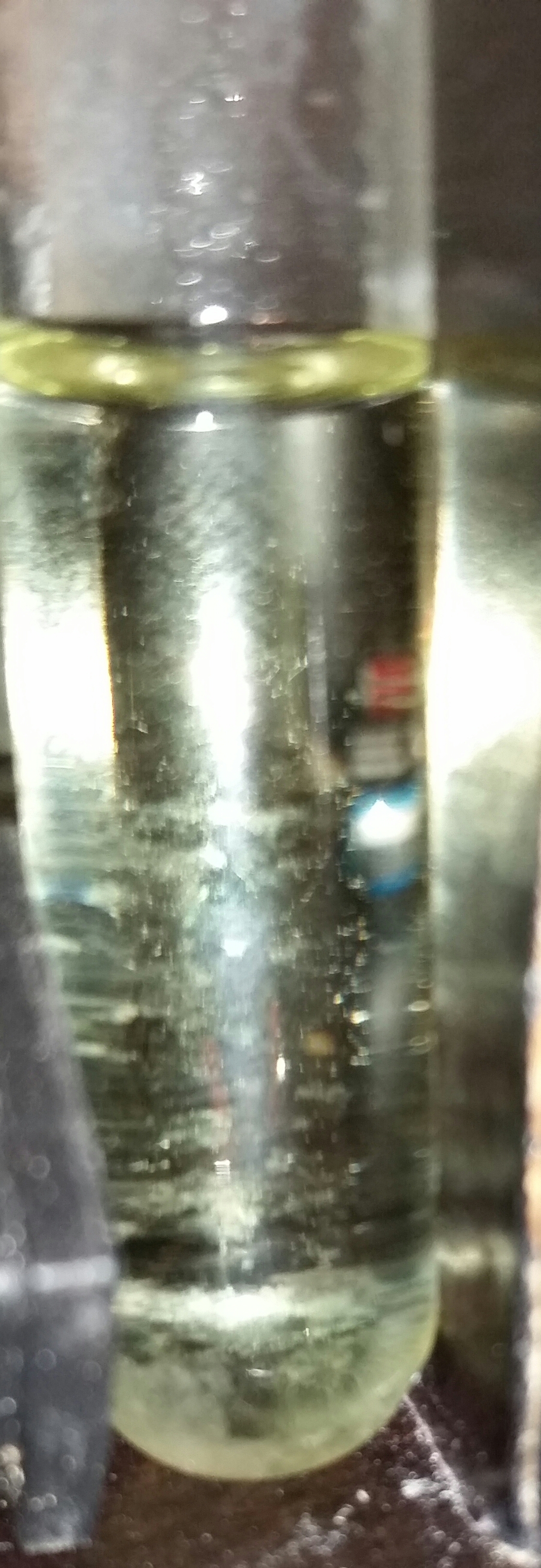 20170122_201659-1.jpg