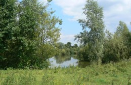 LottumHoogwatergeul