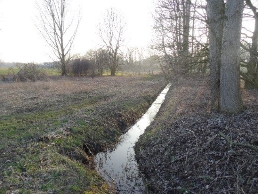 Grubbenvorst Hoogwatergeul