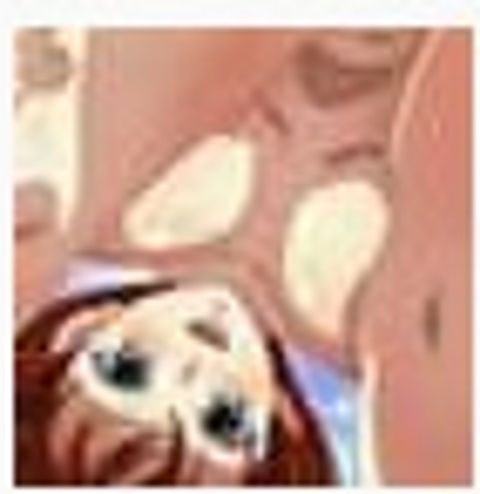 RIS.jpg