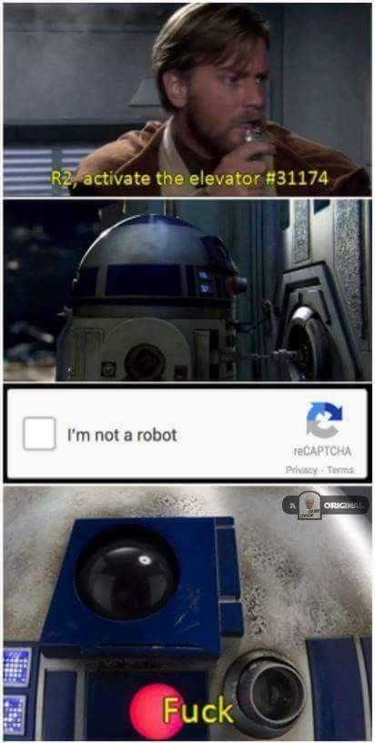1485256561357-1829363062.jpg