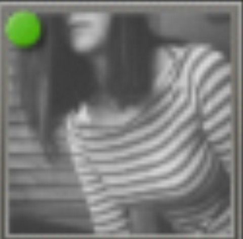 RIS.jpg