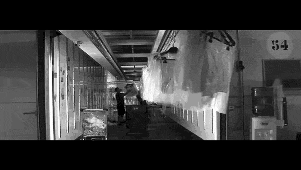 Sequence-01_2.gif