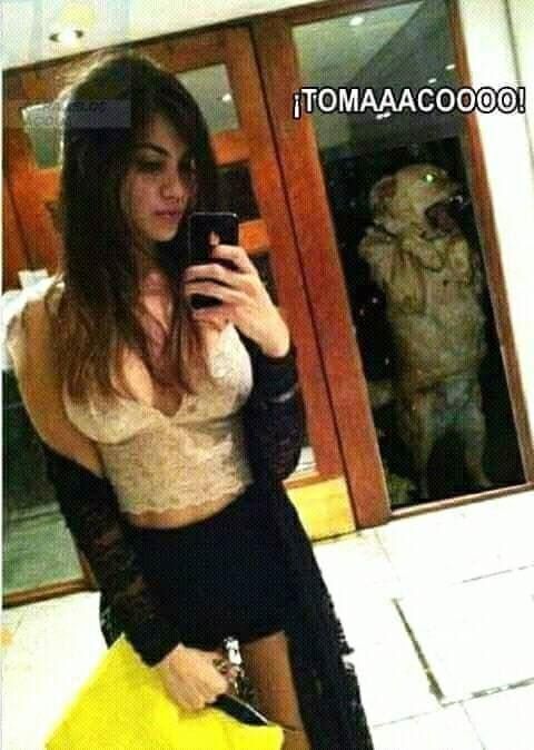 RIS.jpg