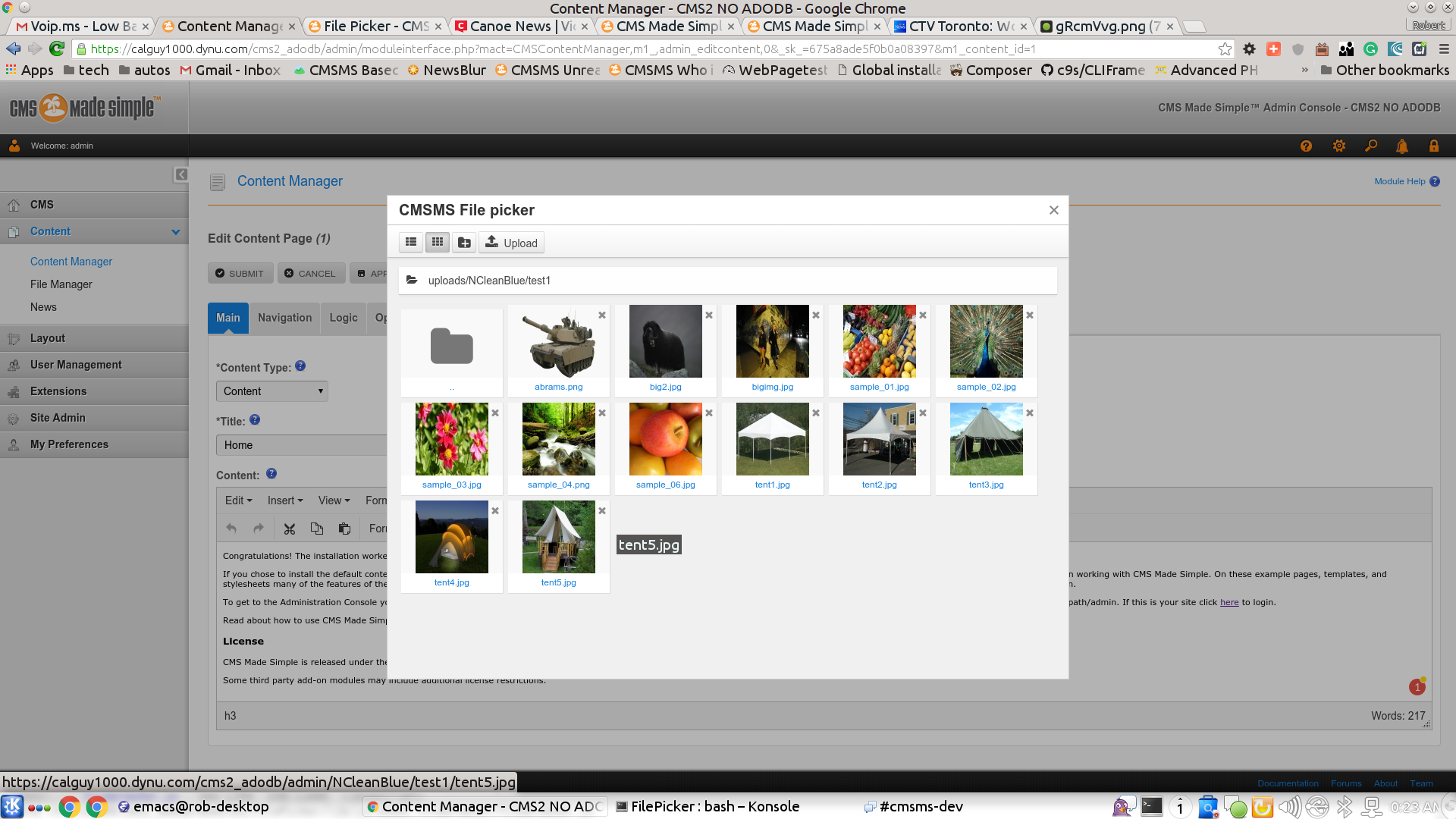 File Picker