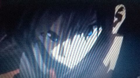 RIS.jpg