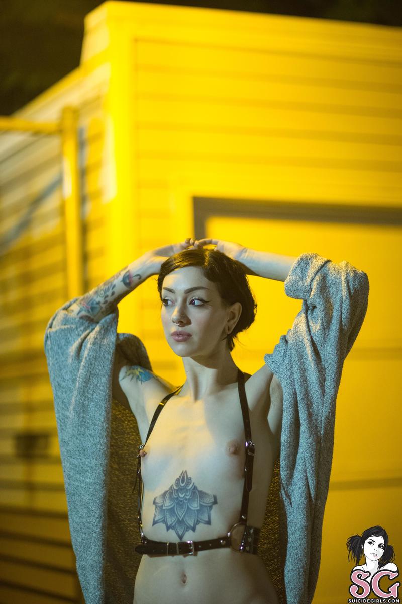 feryn-collapsar-23.jpg