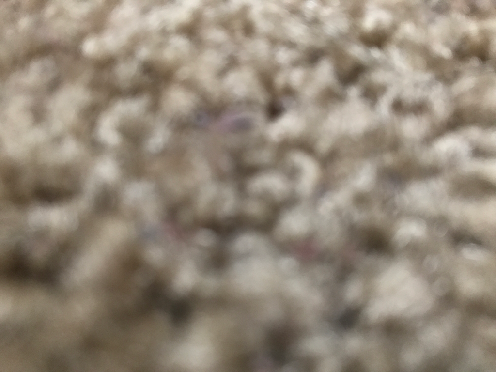 5f131402-e347-11e6-a252-3ae047870e2b