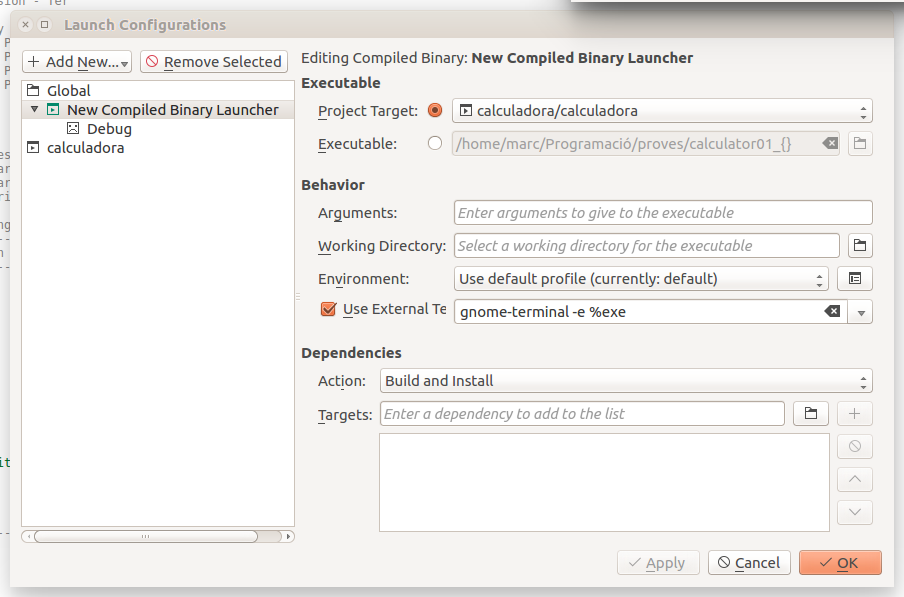 kdevelop fails to execute project