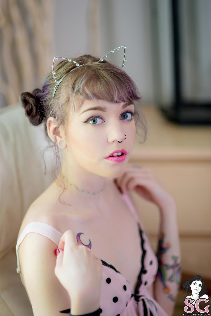 canary-goodkitten-03.jpg