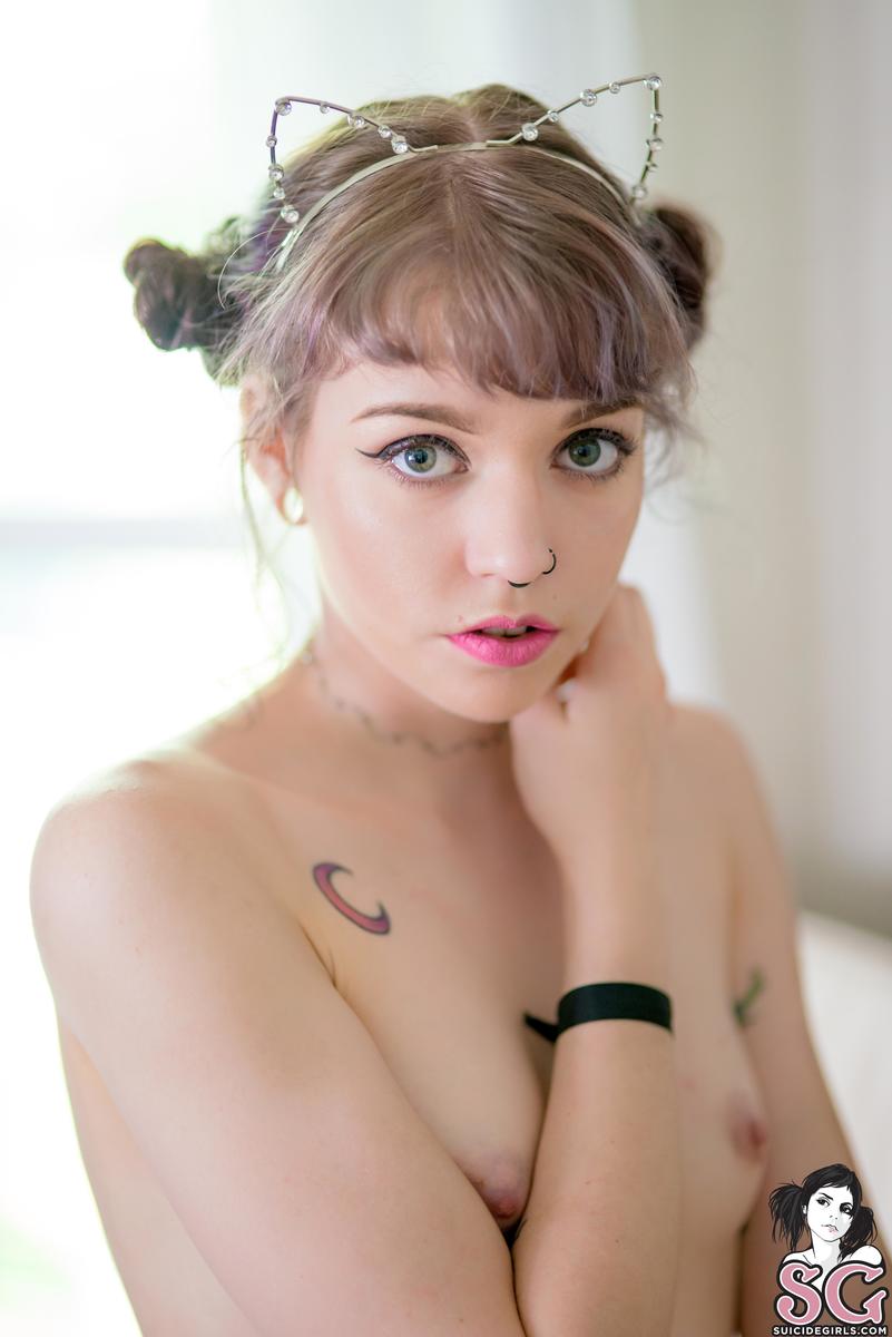 canary-goodkitten-25.jpg