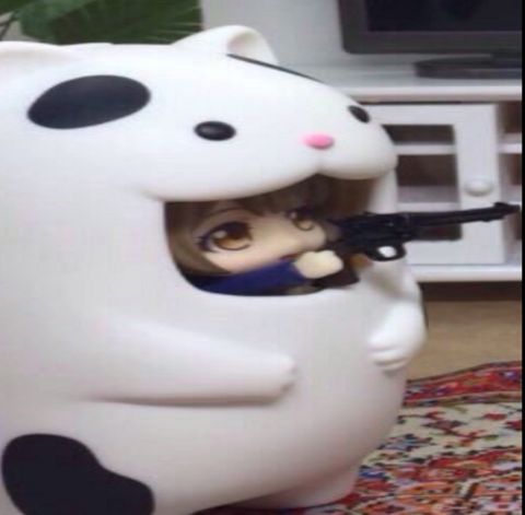 RIS.jpg