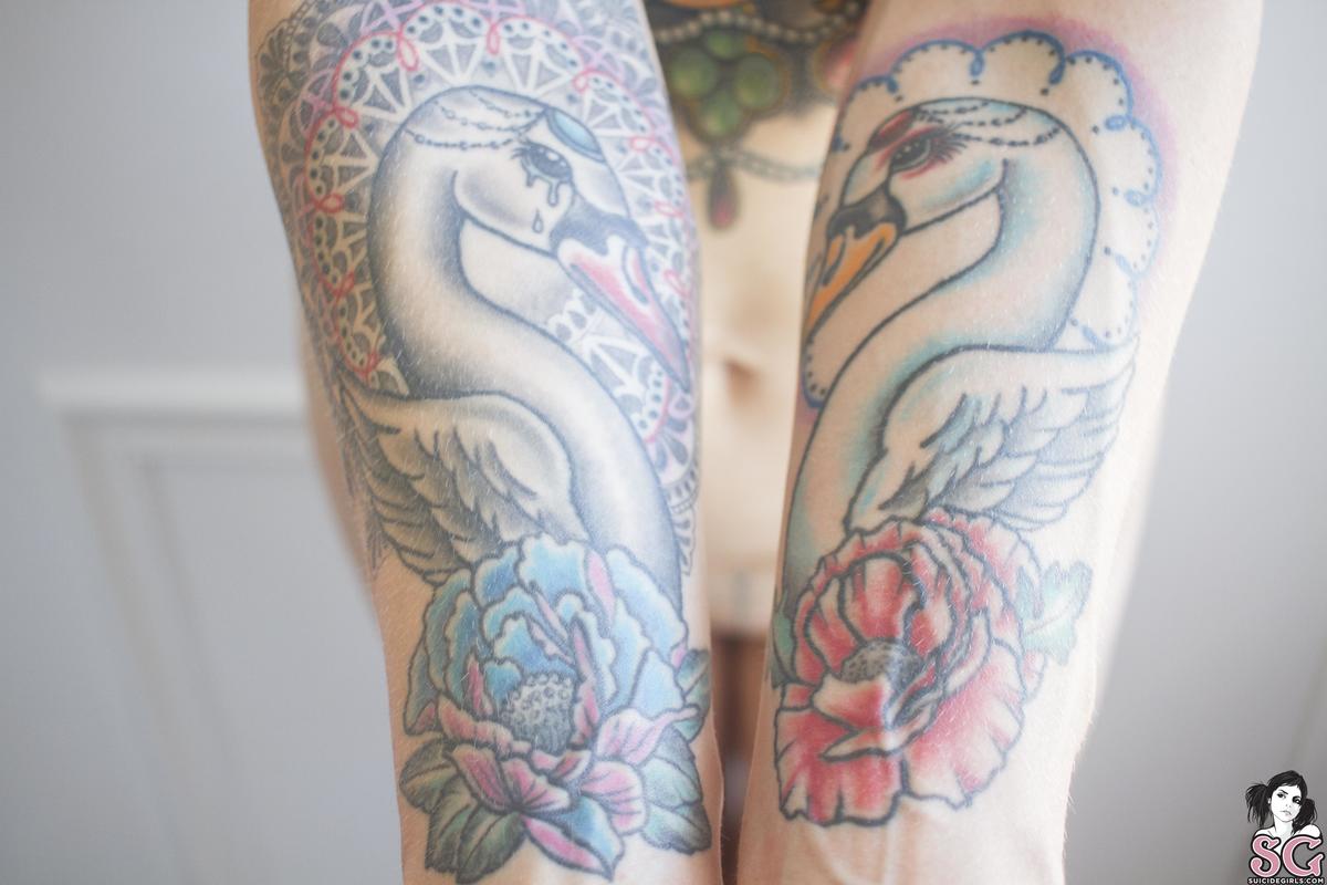 cigno-silverlining-29.jpg