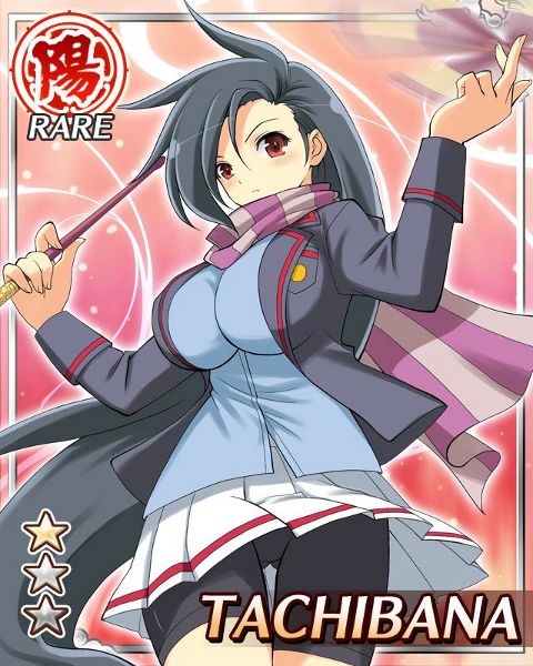 RIS.jpg