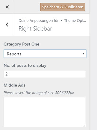profitmag customizer right sidebar