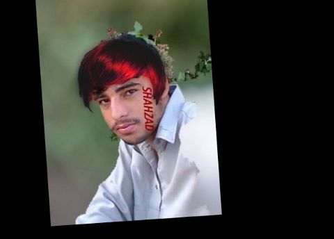 RIS.jpg