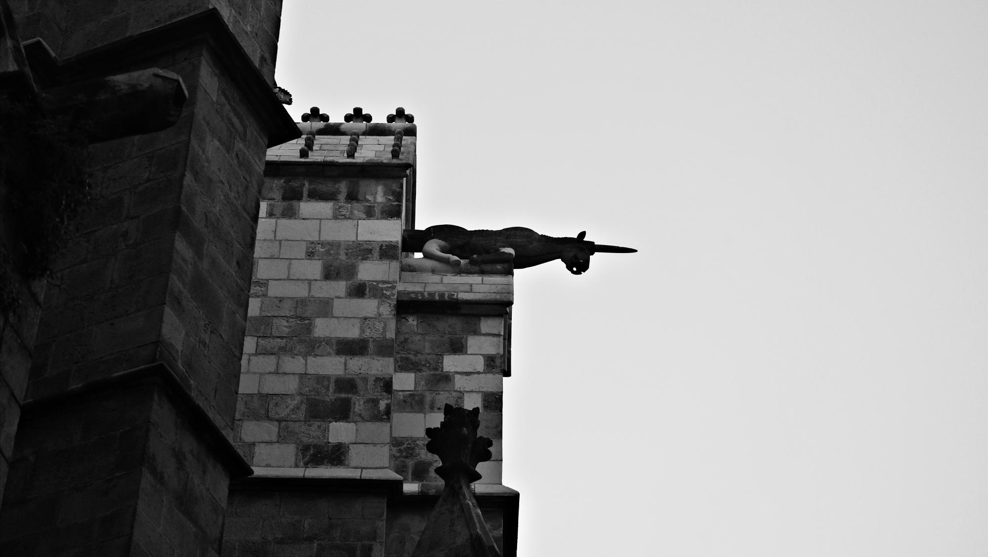 DSCF0938.JPG