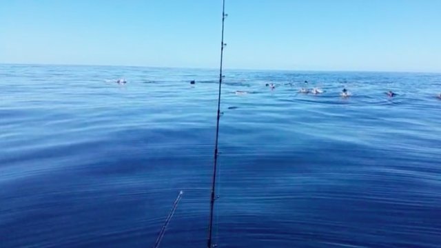 random_1486147076.jpg