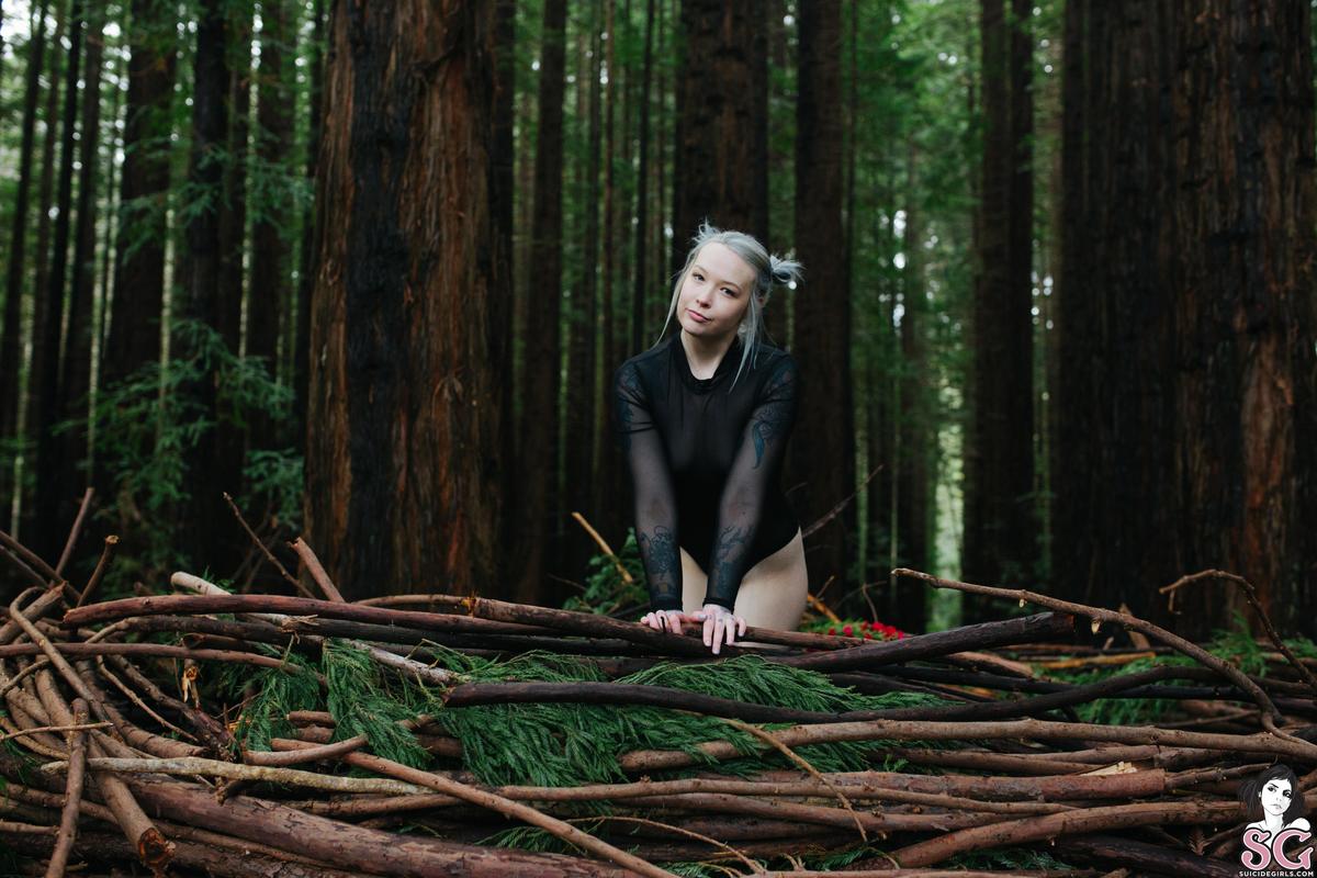pebblezink-dryad-03.jpg