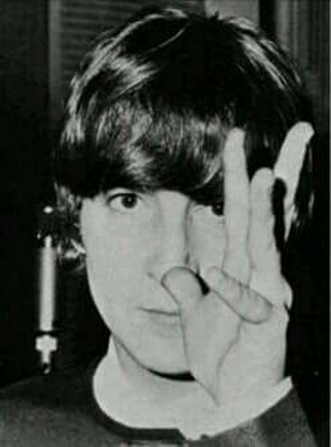 RIS.jpg