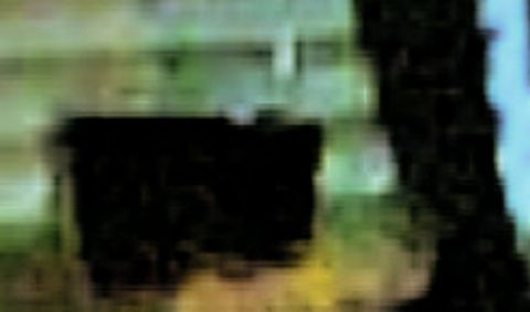 RIS.jpg