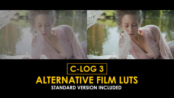 50930773-clog3-alternative.jpg