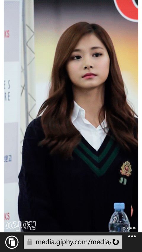RIS.jpg