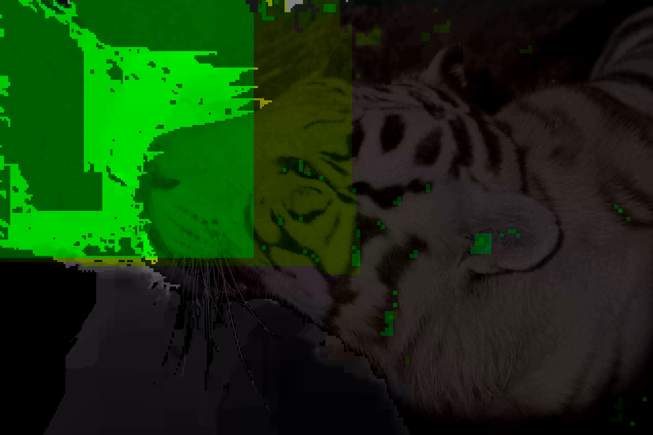 AV1 Daala DCT bug
