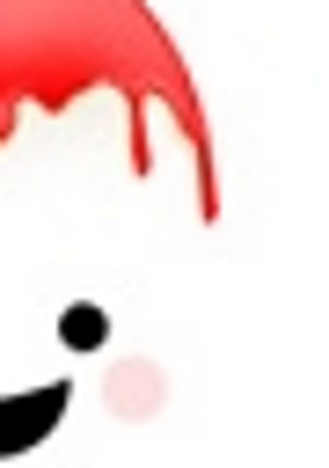 RIS.jpg