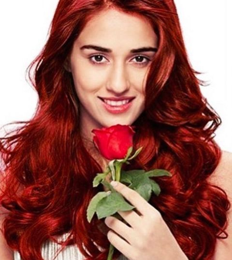 RIS.jpg