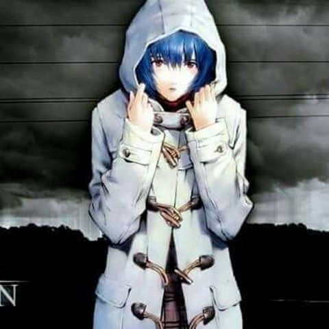 RIS.jpg