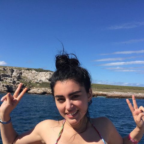 RIS.jpg