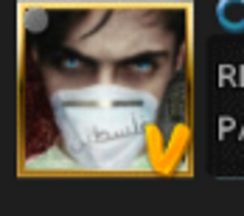 RIS.jpg