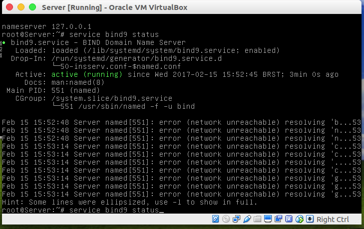 Servico DNS
