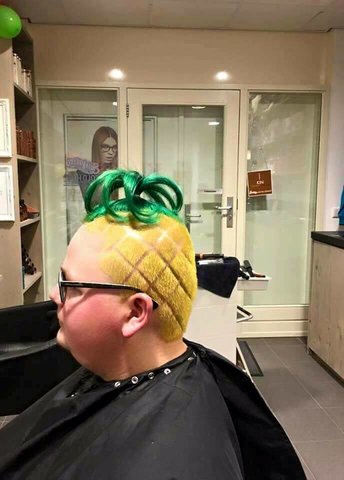 rsz_pineapple_head.jpg