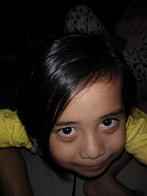 RIS.jpg