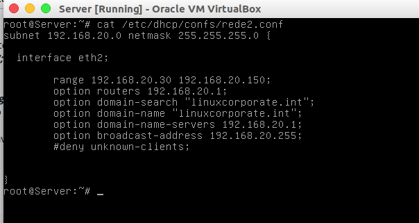 dns33.png