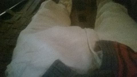 RIS.jpg