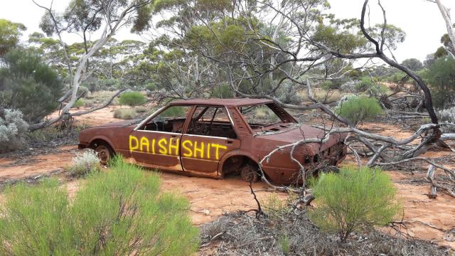Daishsat