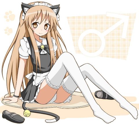 RIS.jpg