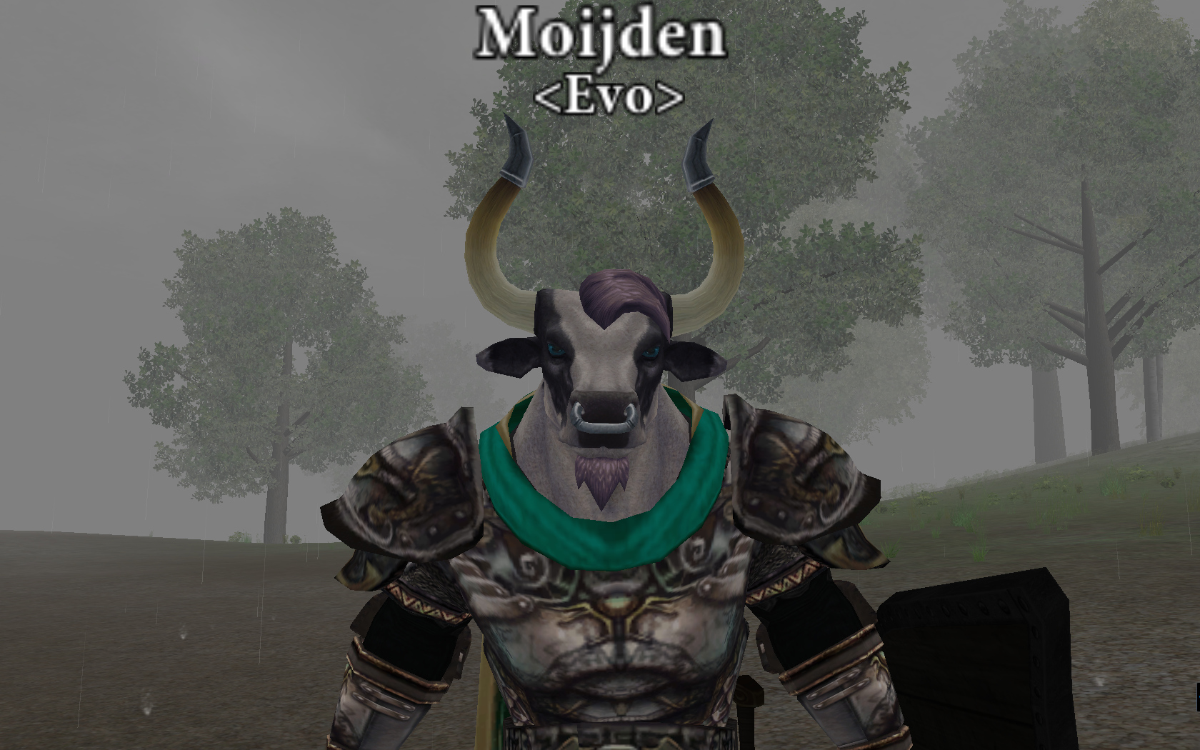 MoijFashion
