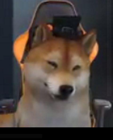 RIS.jpg