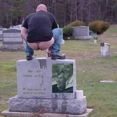 RIS.jpg