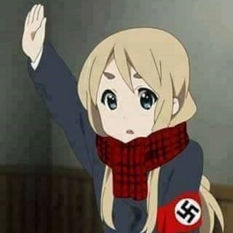 RIS.jpg