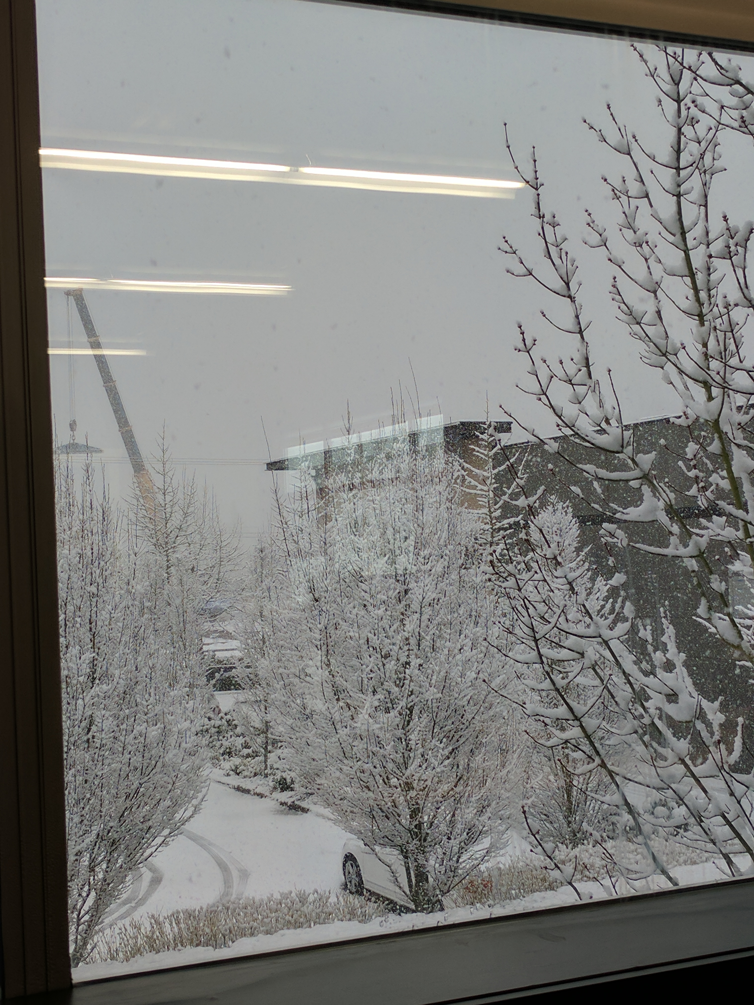 snow.jpg