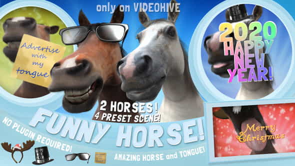 6246924-funny-horse.jpg